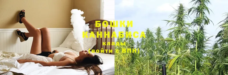 Конопля OG Kush  Кудымкар 